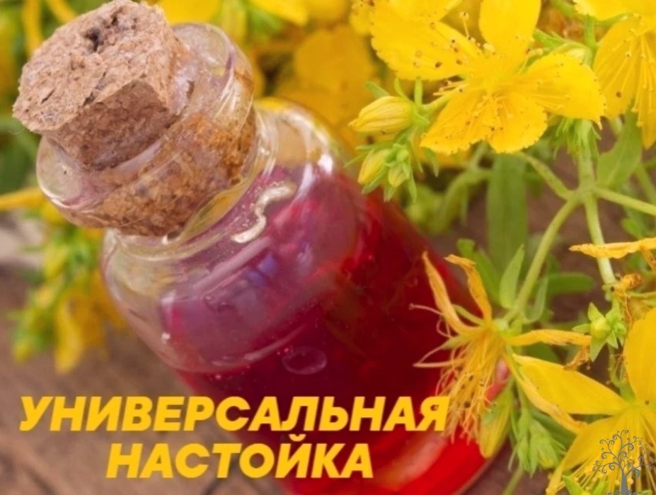 УНИВЕРСАЛЬНАЯ НАСТОЙКА «ЭЛИКСИР ЖИЗНИ»