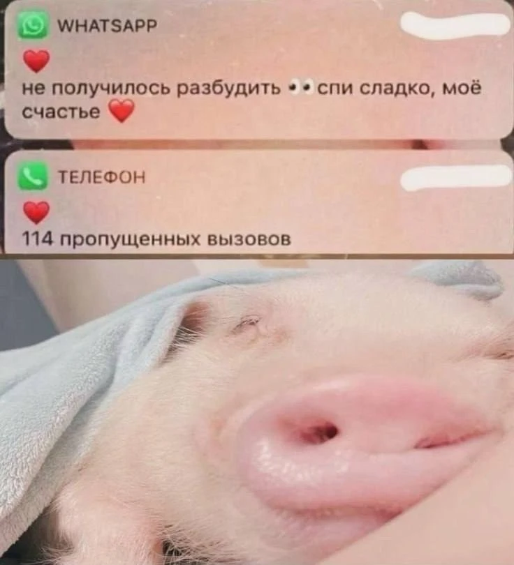 Всем понимания и возможности поспать 💚