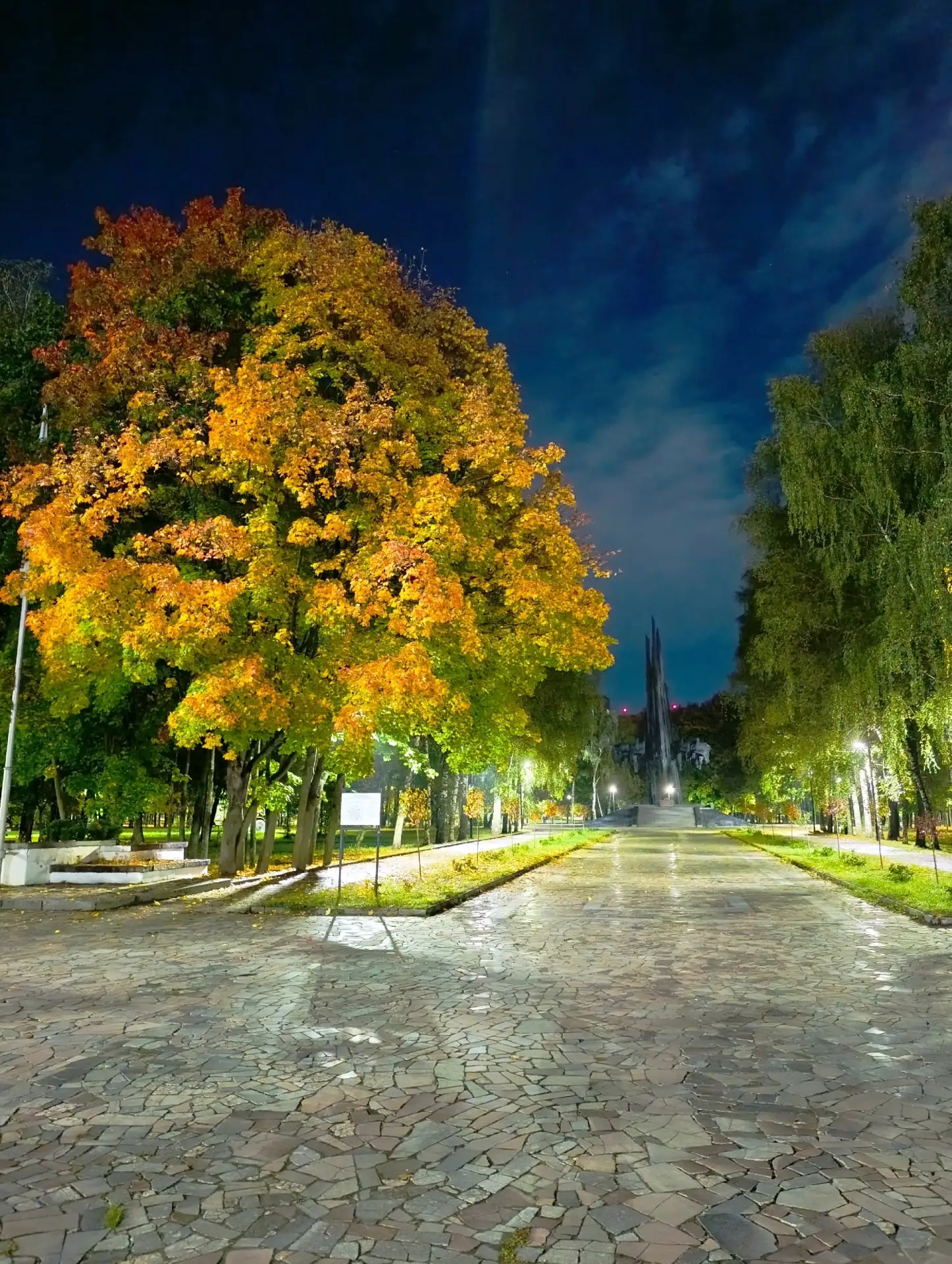 Осенние рязанские пейзажи радуют глаз🍁🍁🍁