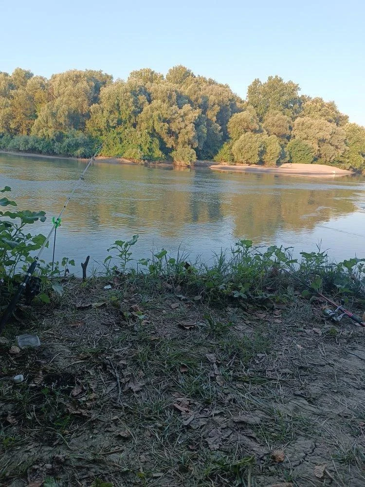Сегодня (17.08) х. Протичка река Протока с 6 до 10