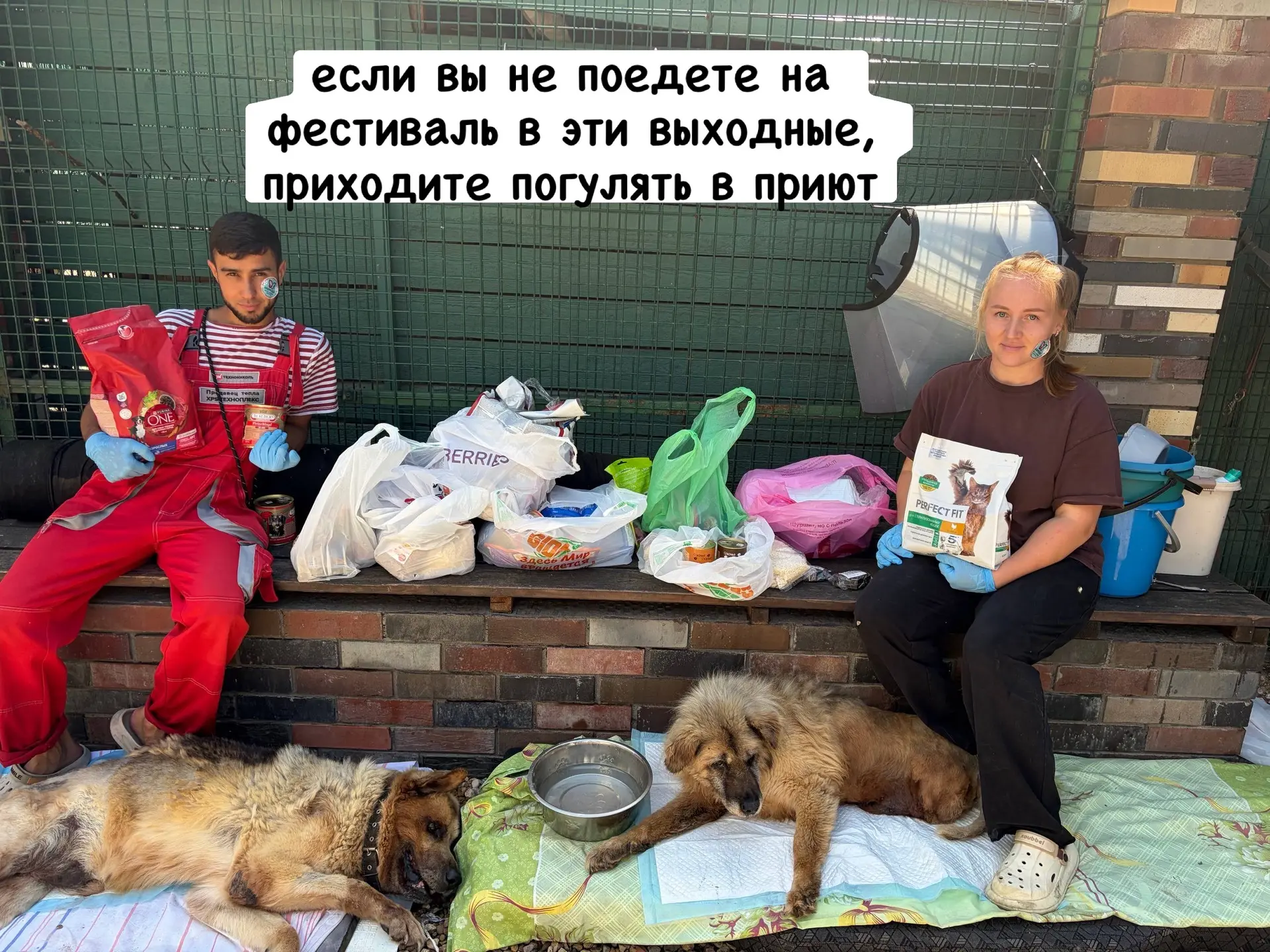 Друзья, если вы не поедете на фестиваль Четыре лапы в эти выходные, пожалуйста, приезжа...