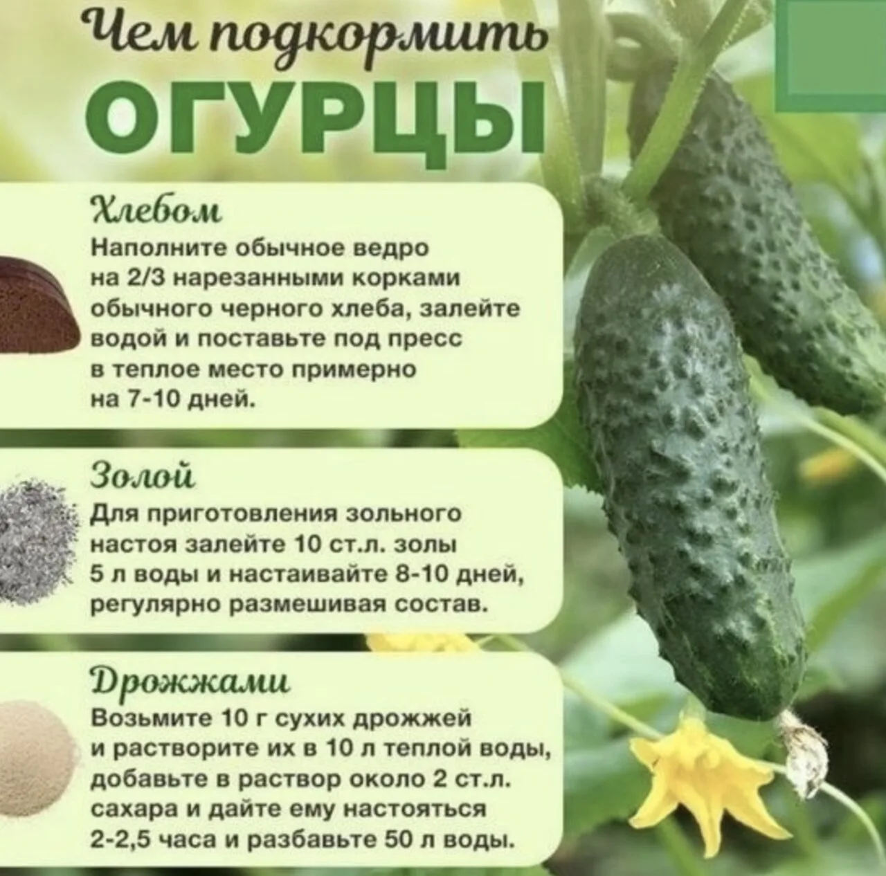 Ha зaметку📌

НАШИ КАНАЛЫ:
Идеи для дачи
Моя любимая дача
Дачные заготовки
Открытки на праздники
Отк