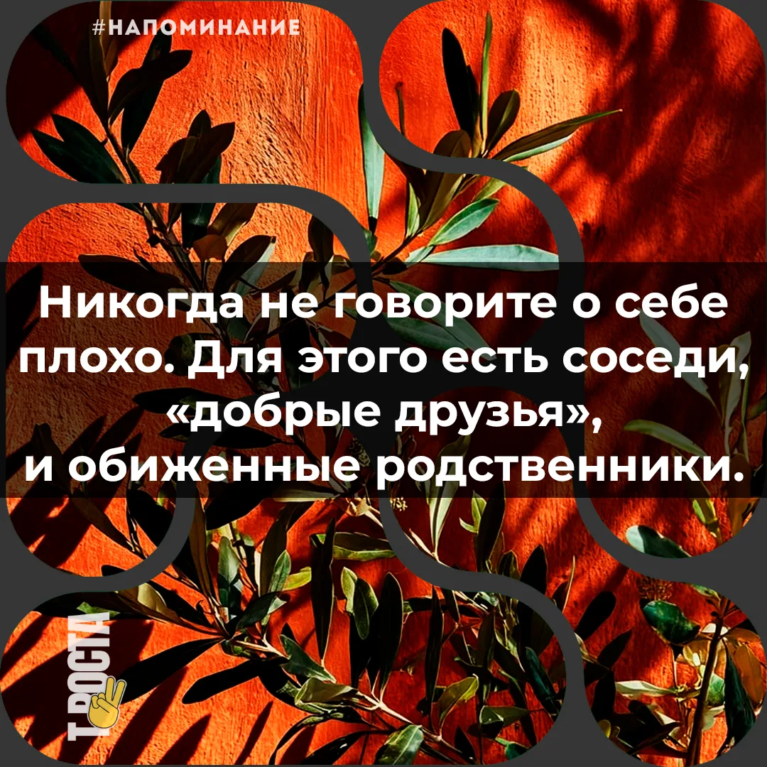 Точка роста