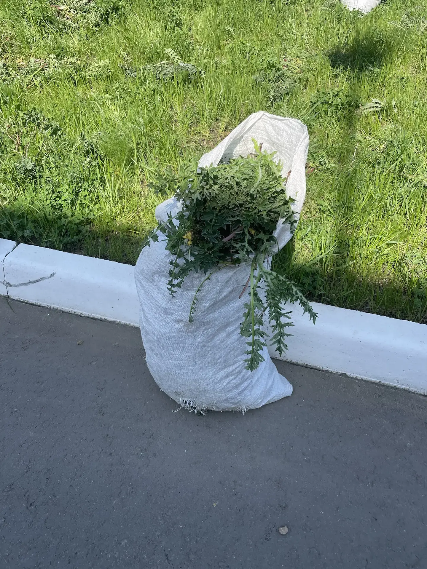 🌿 Чистый двор — наша общая забота!  Приближается конец учебного года, и лицеисты с особым вниманием 