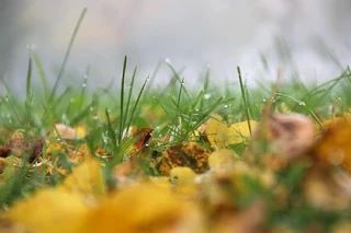 ☔️В первый день октября синоптики обещают в Ростове дождь