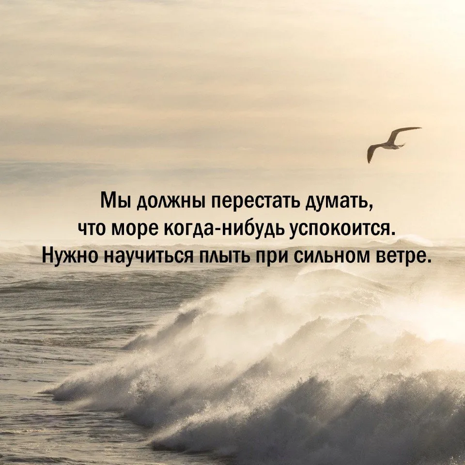 Мудрость слов | цитаты Мудрость слов | цитаты