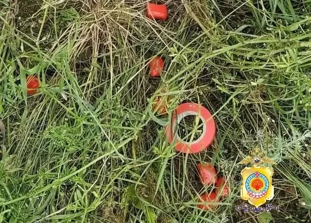 В Калмыкии задержали 37-летнего жителя Черноземельского района, подозреваемого в распро...