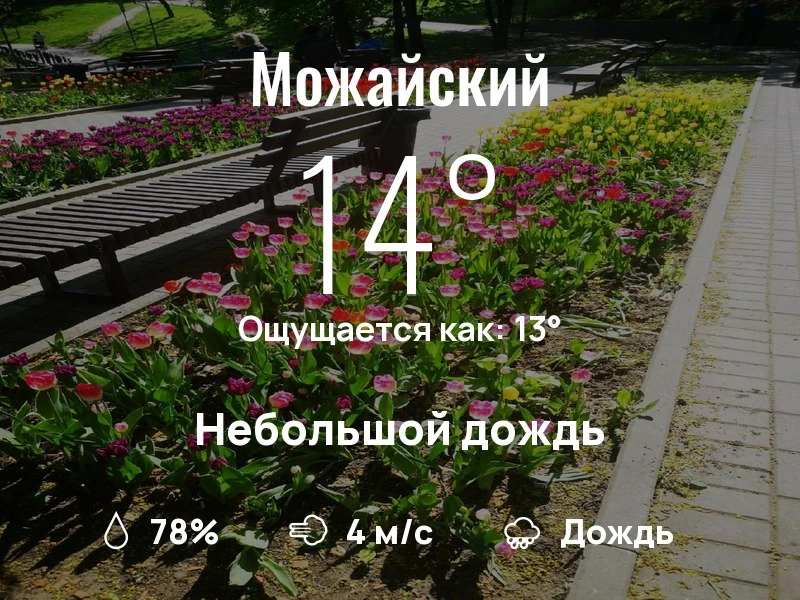 Что с погодой в Можайском?
