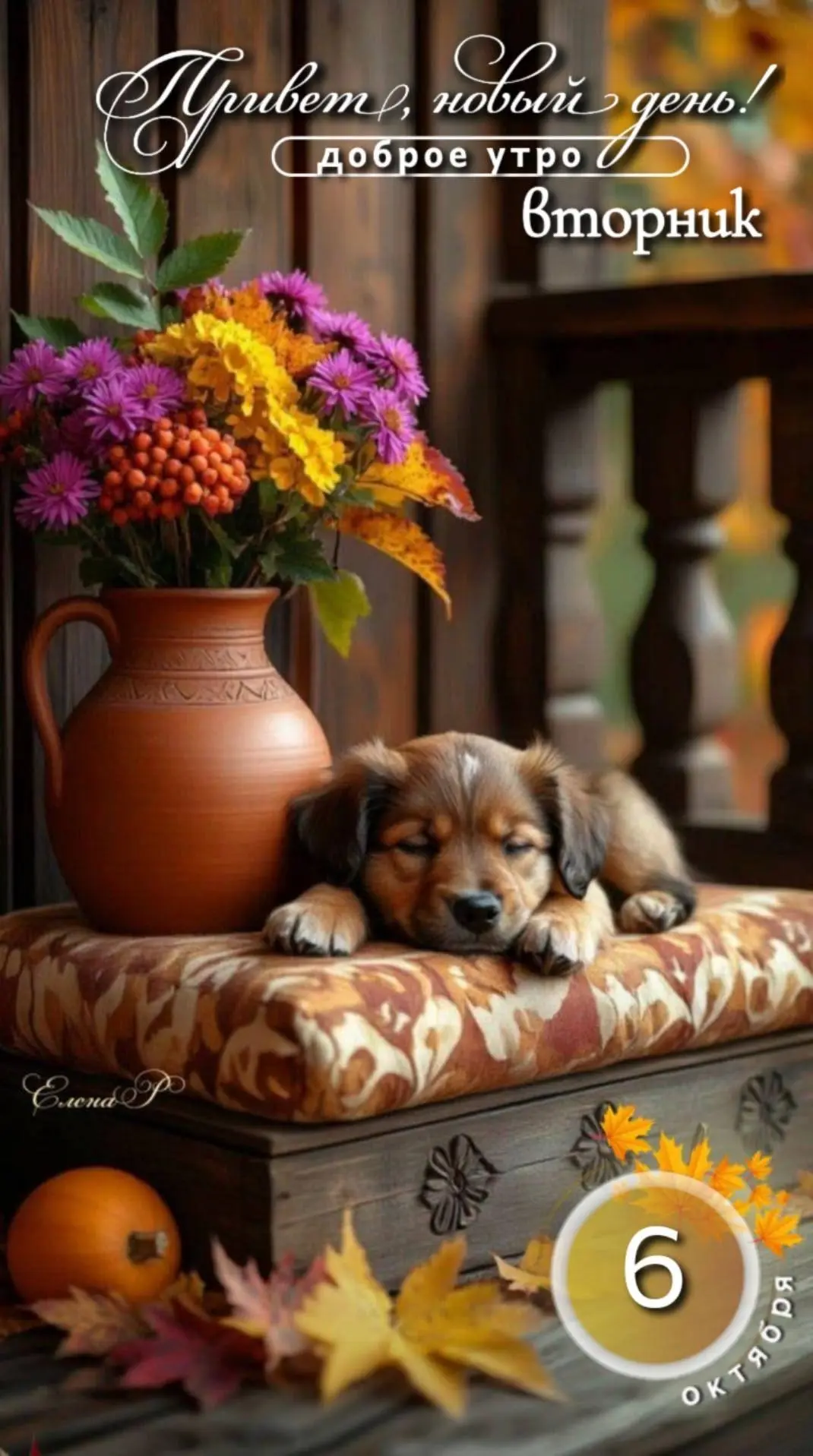 🌷 Открытки подписаться 👈