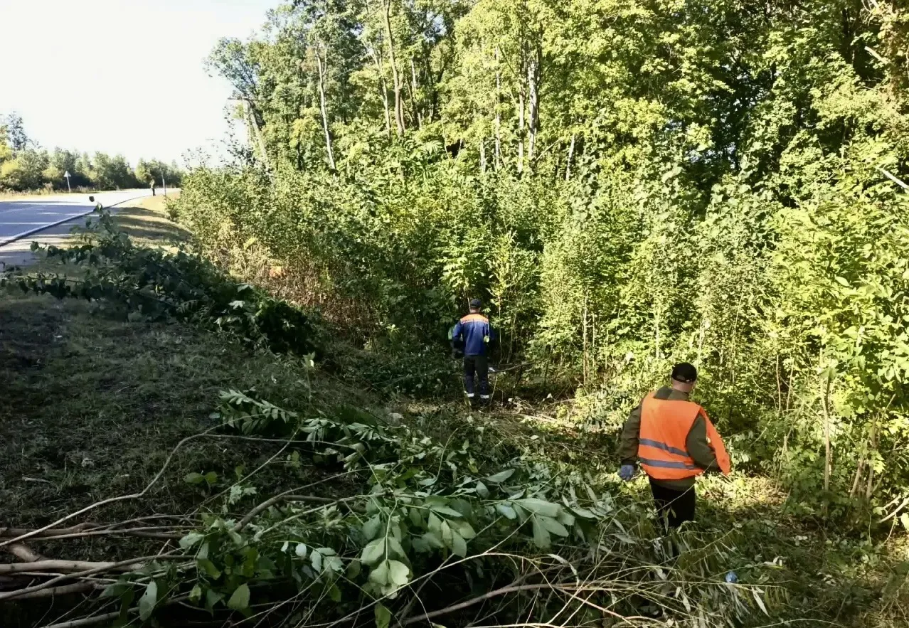 Покос травы, вырубка и дробление кустарников в Хабаровском районе 🌿 🪵