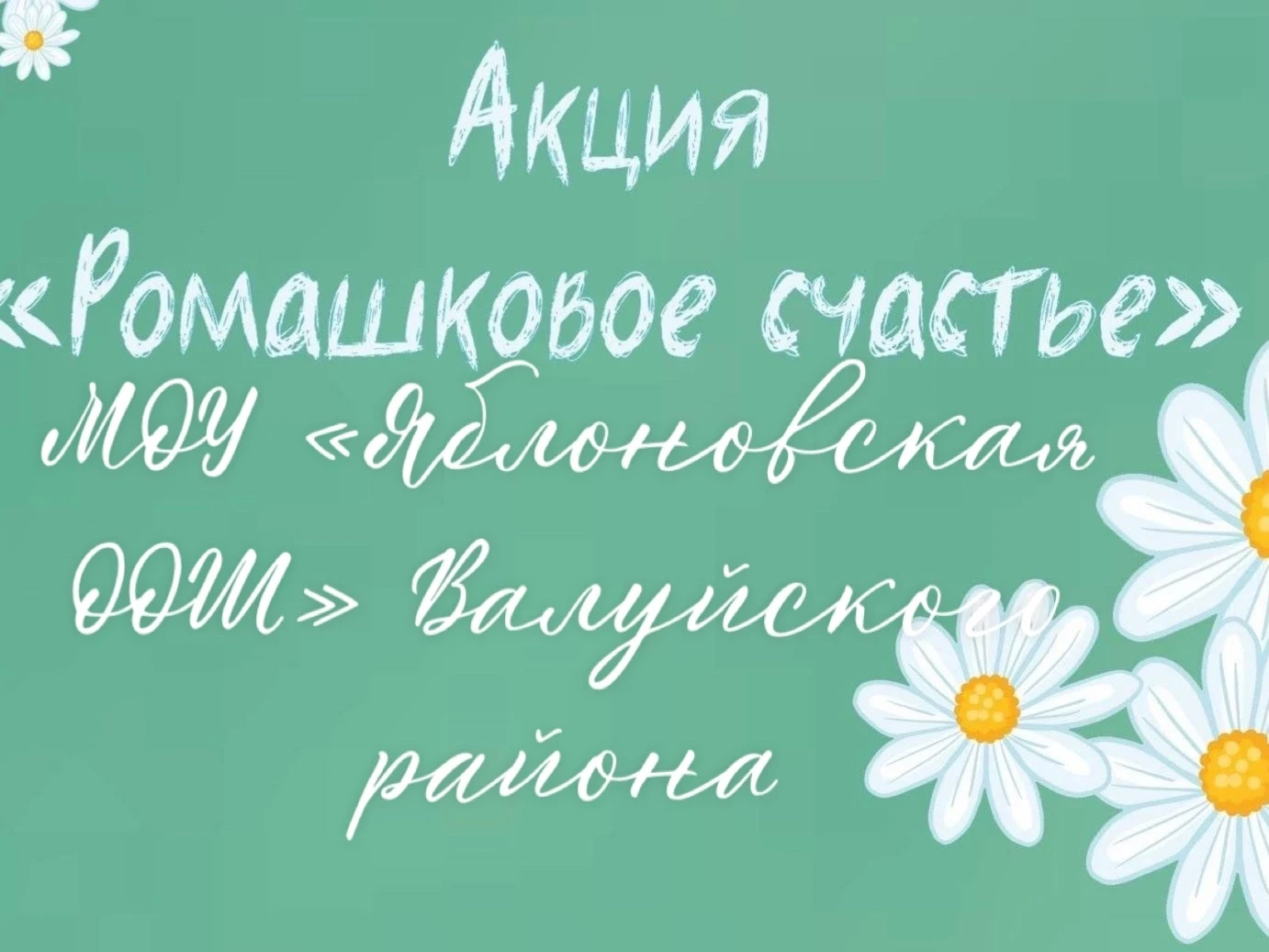 С теплом о главном: наша школа в акции «Ромашковое счастье»🌼