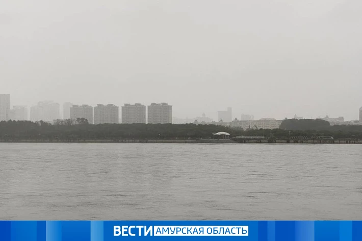 Осадки: прогноз погоды в Приамурье на 29 июля

Завтра местами возможны кратковременные дожди с гроза