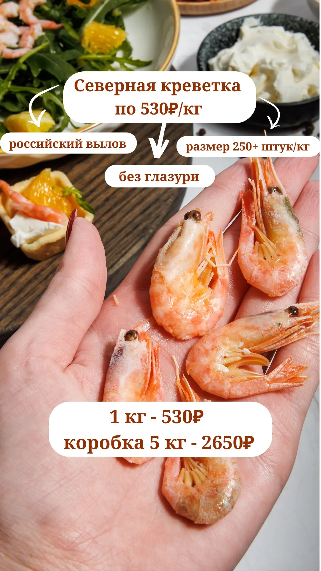 Северная креветка за 530₽ за 1 кг!