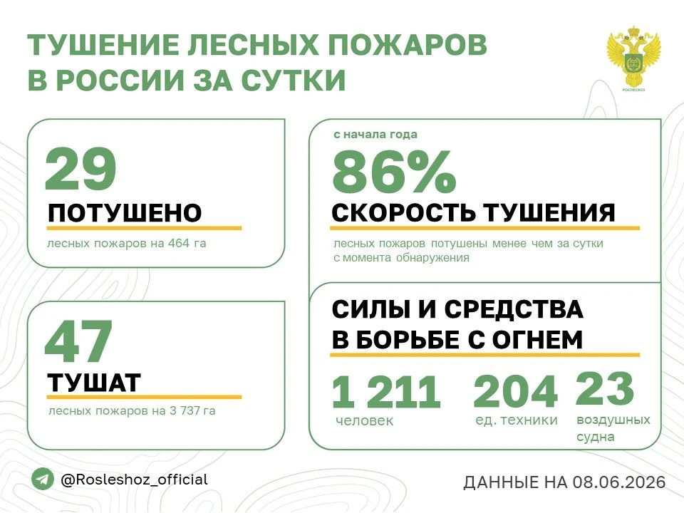 🟢 За прошедшие сутки в 13 регионах России потушили 29 лесных пожаров.