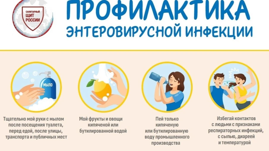 О проведении "горячей линии" по профилактике энтеровирусной инфекции

В период с 27 июля по 7 август