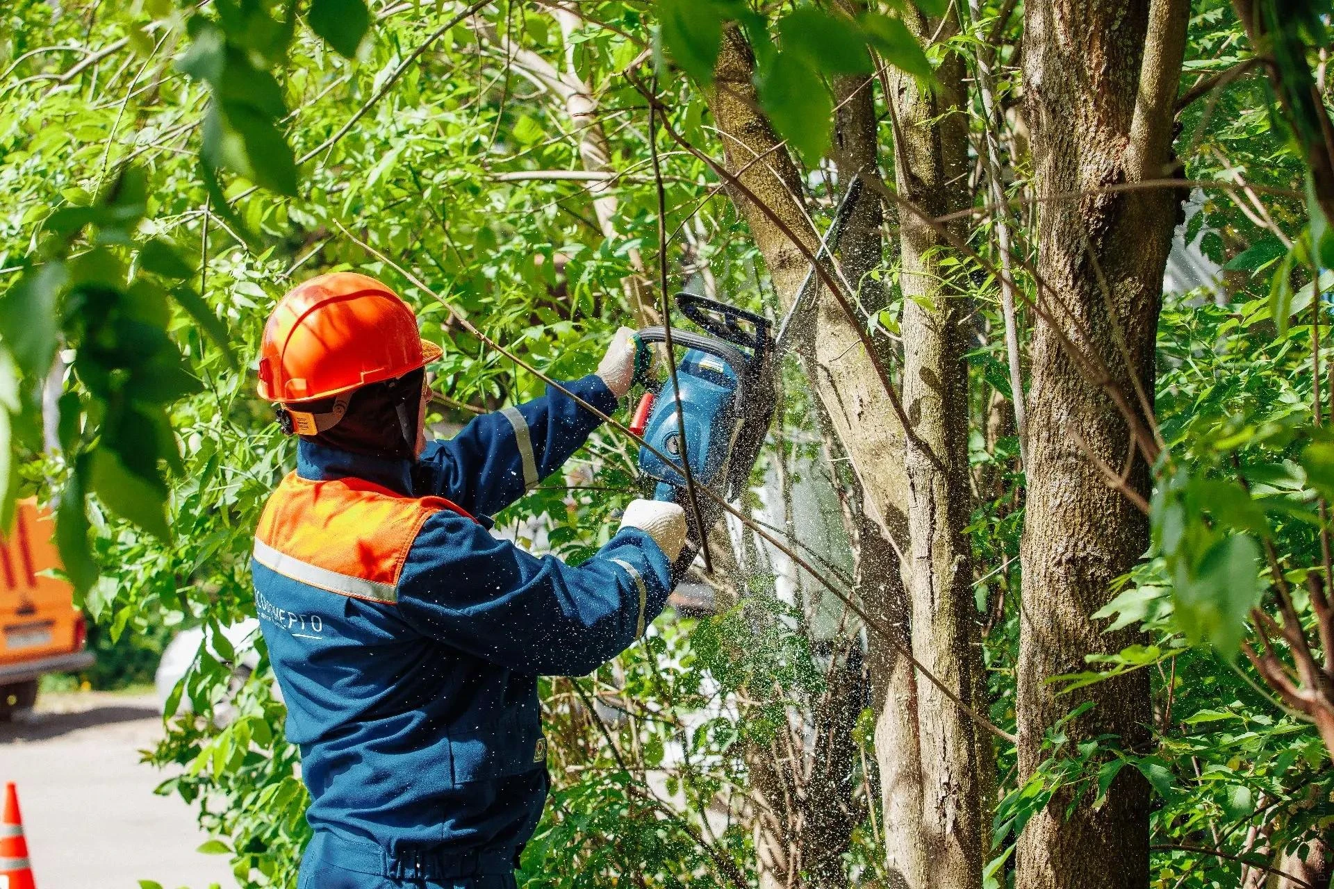 🌳Энергетики расчистили более 7,7 тыс. га охранных зон ЛЭП в Подмосковье с начала года.
