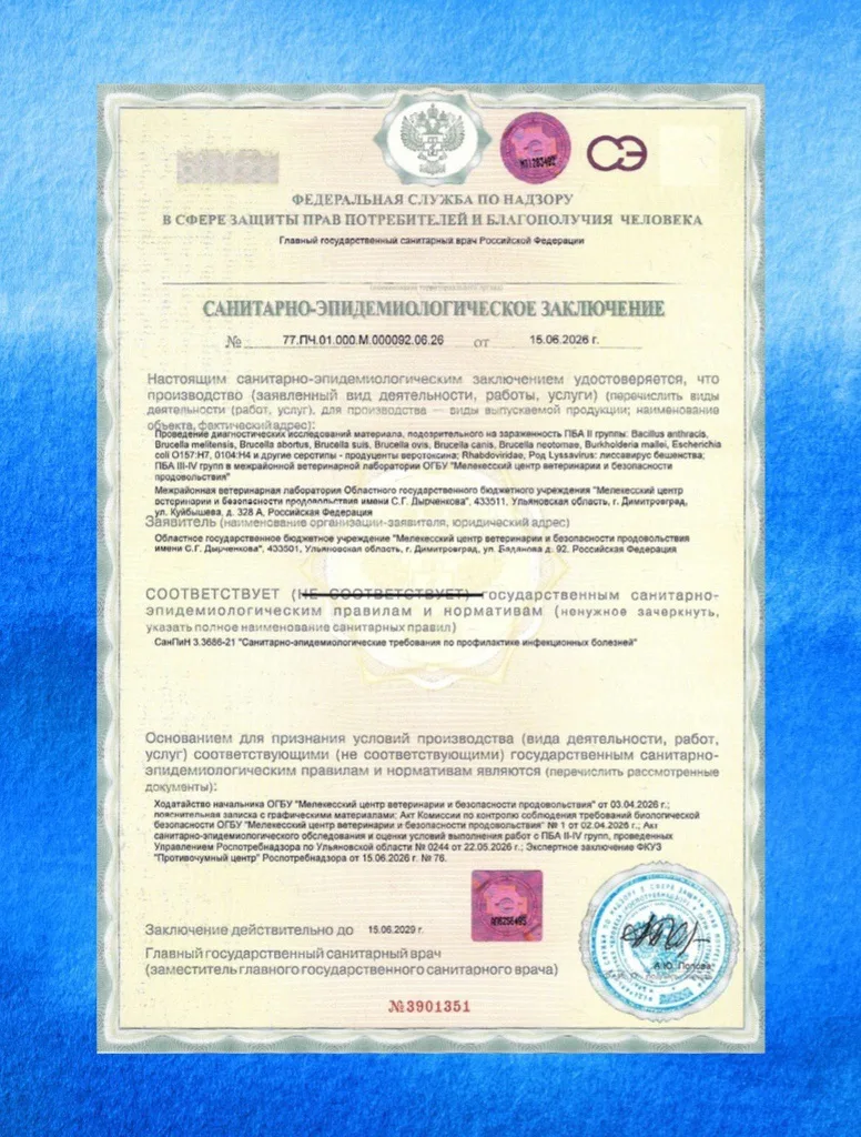 🎉 Знаем, умеем, практикуем — подтверждено на самом высоком уровне!