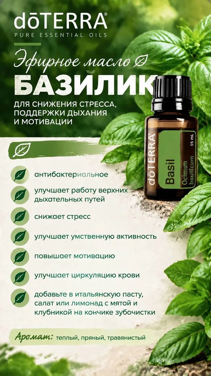 Друзья, БАЗИЛИК И СМЕСЬ ЭФИРНЫХ МАСЕЛ БАЛАНС