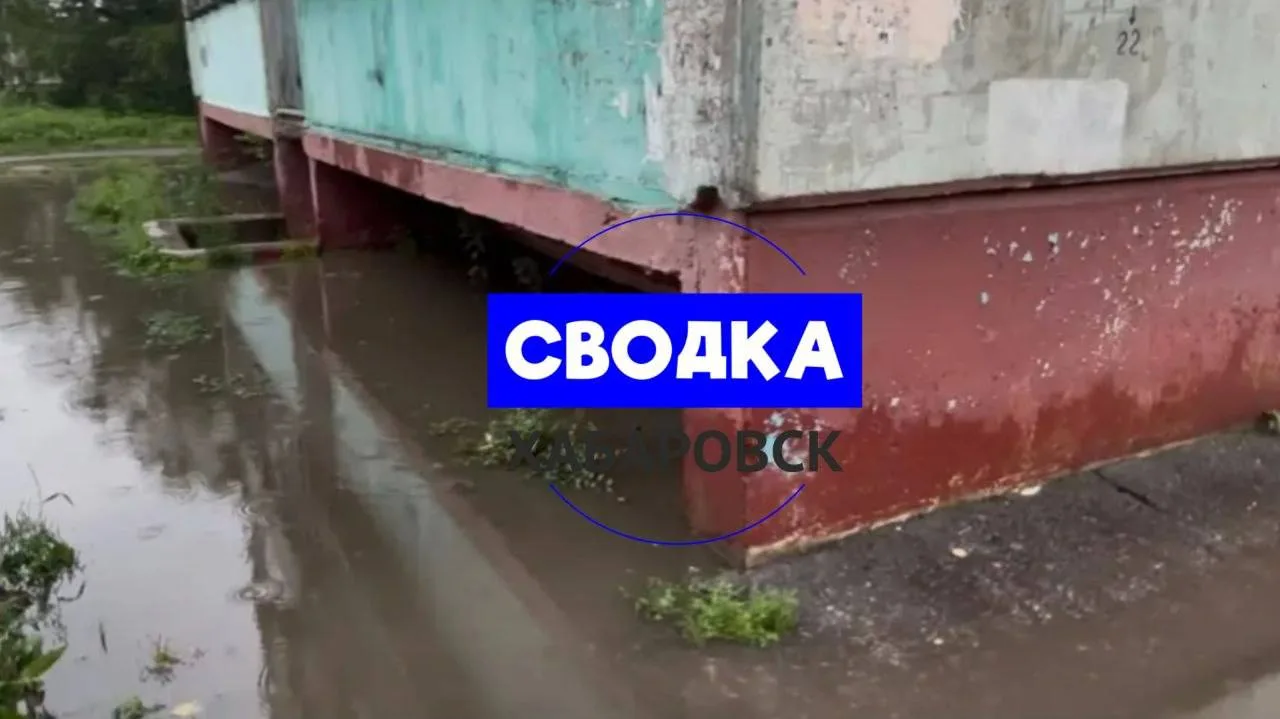 Изображение 3 к публикации «Вкратце | Хабаровск | ДВ, Дальний Восток, ХБК, 27 регион»