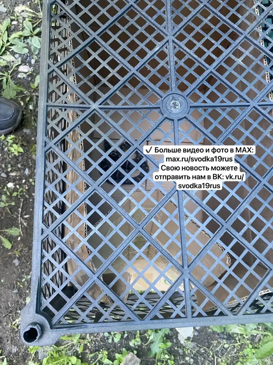 Змея обнаружена на Пирятинской 25!