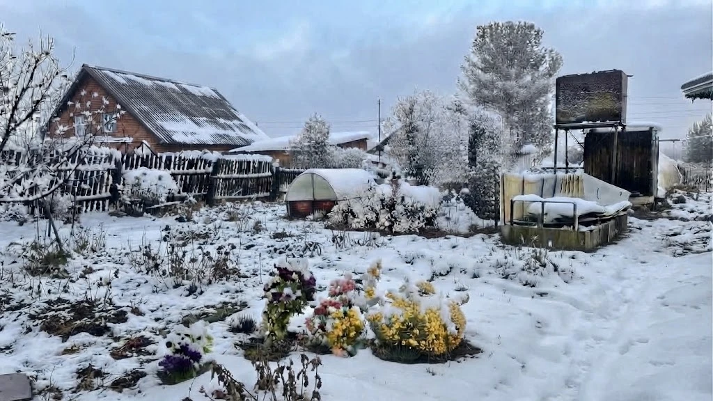 ❄️ Доброе утро, дачники!