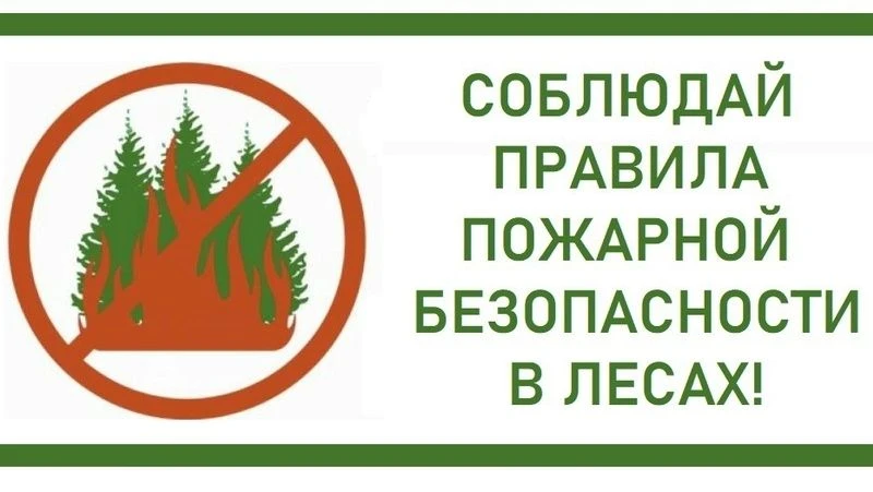 ПОЖАРНАЯ БЕЗОПАСНОСТЬ В ЛЕСУ: ВАЖНАЯ ИНСТРУКЦИЯ
⁣
ВНИМАНИЕ!
⁣
В ПОЖАРООПАСНЫЙ ПЕРИОД ВОЗДЕРЖИТЕСЬ ОТ
