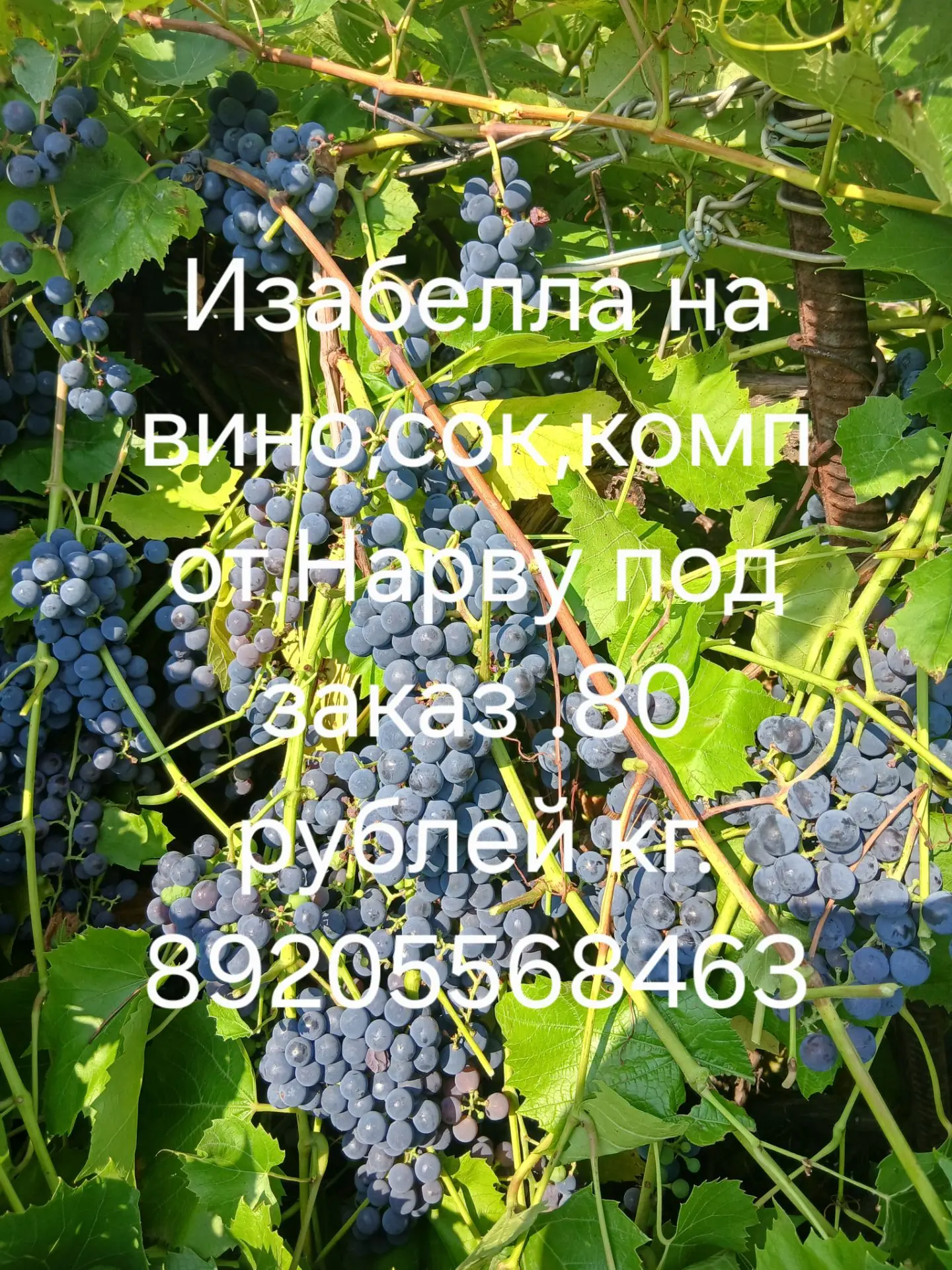 Тушёнка 140 руб шт