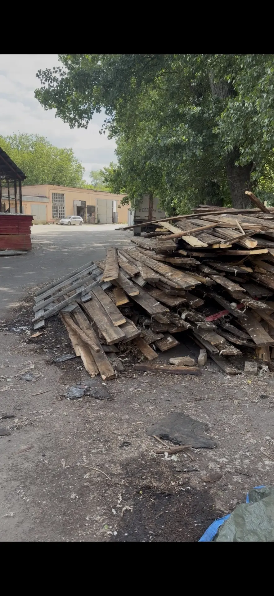 Отдам даром , САМОВЫВОЗ