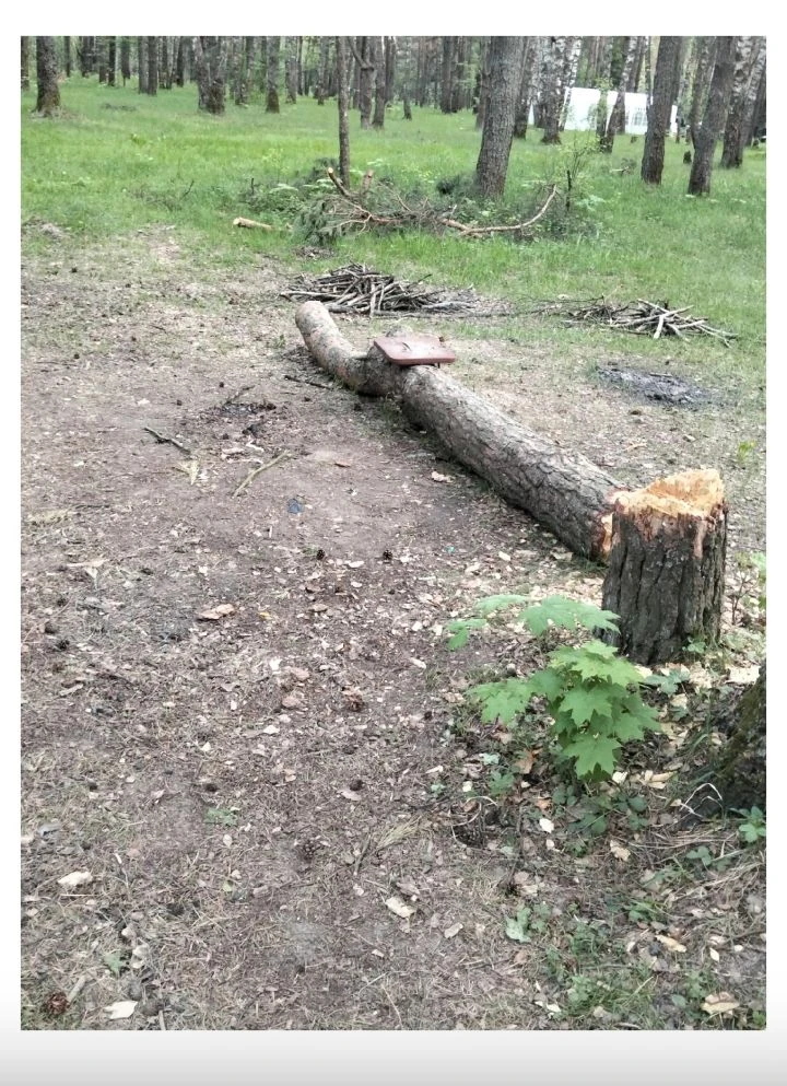 Доброго дня!  Обход нашего озера Леданово после выходных.  Отдыхающие более сознательно отнеслись на