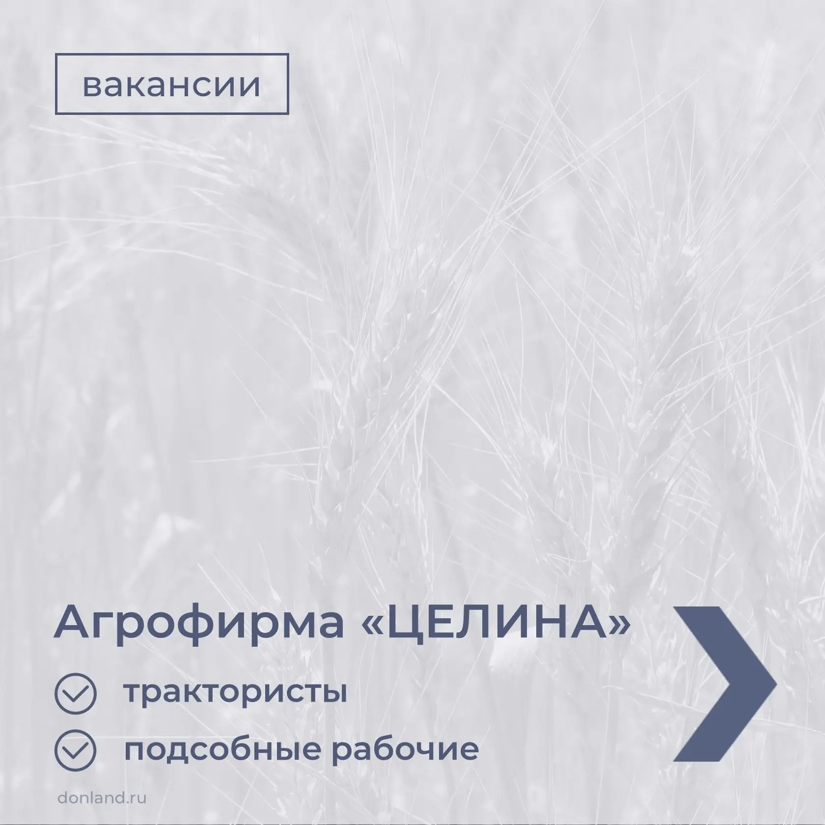 Предлагаем ознакомиться с вакансиями донских компаний. 
Подробности в карточках➡️ 

#вакансии
#работ