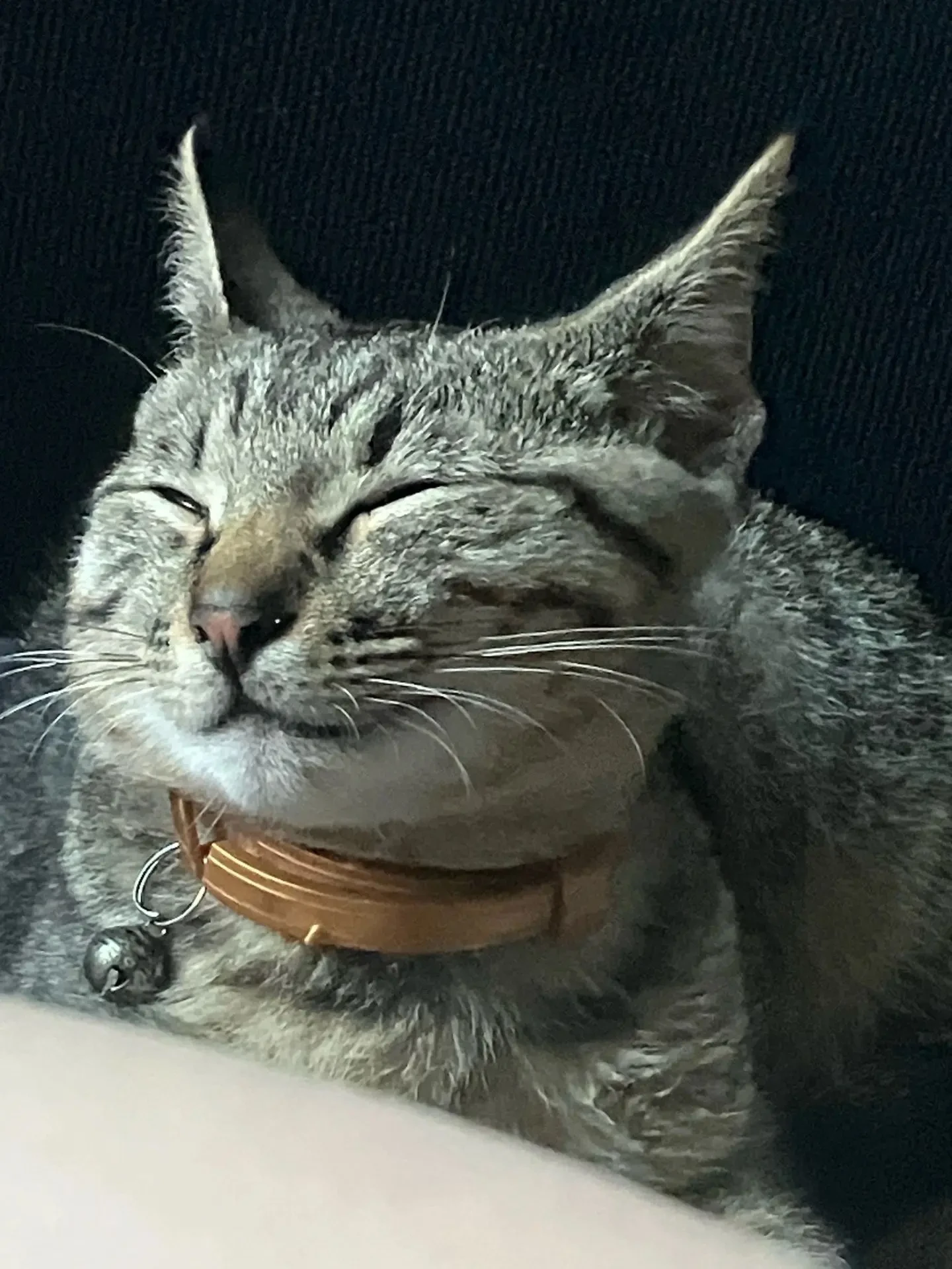 Здравствуйте