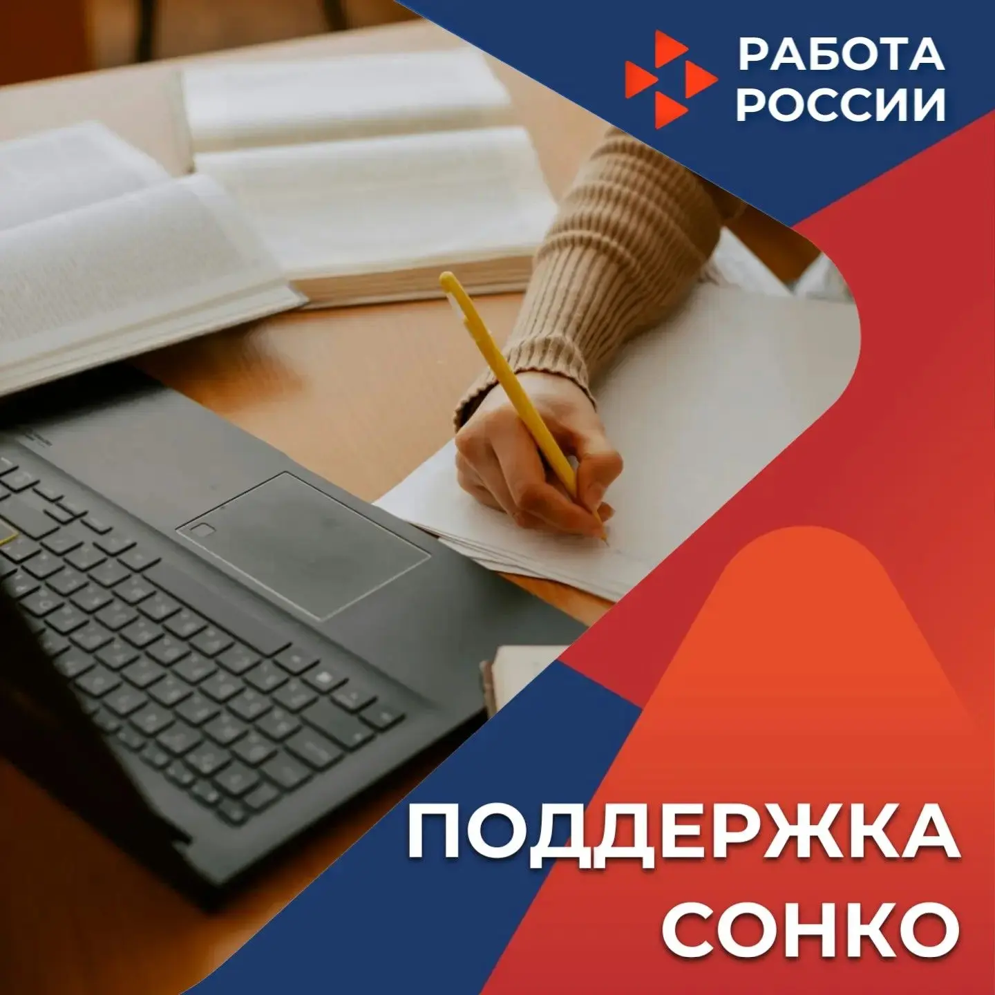 Поддержка СОНКО — образовательных организаций
