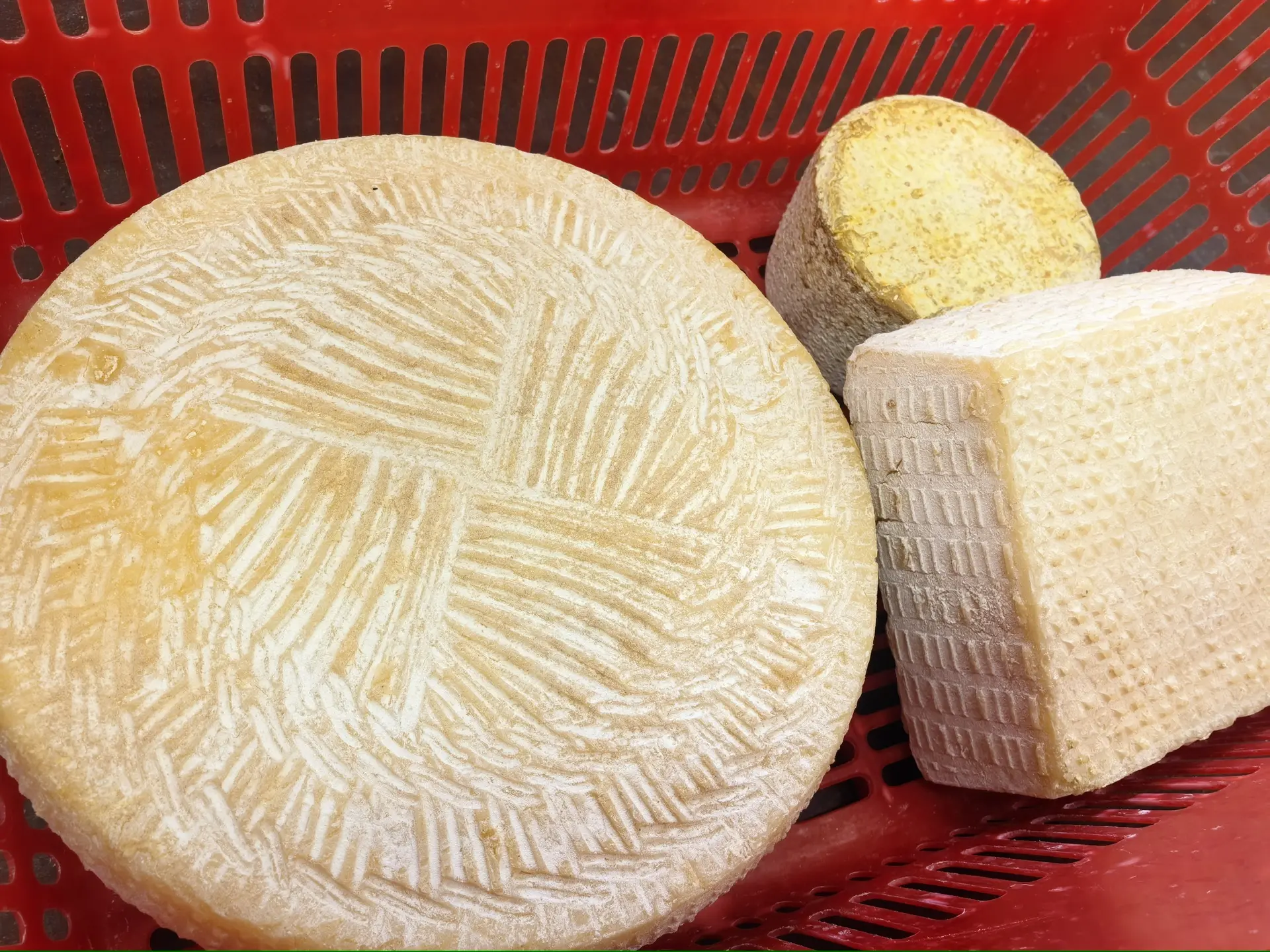 🧀 Ознакомился с работой сыроварни «Ульятичи» в Смоленской области