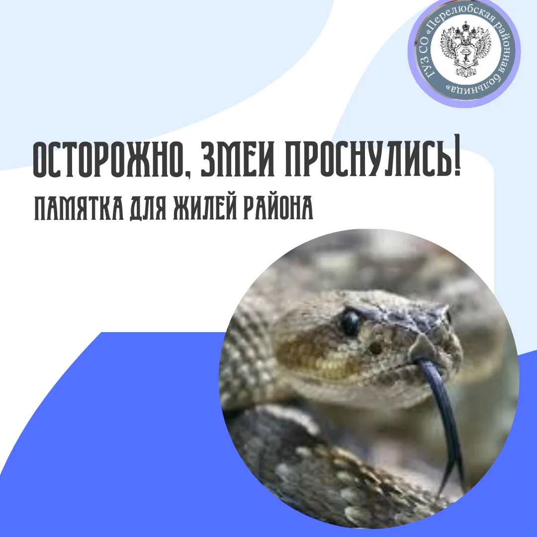 Весна — время активного отдыха на природе, дачных работ и прогулок в лесу. Однако именн...