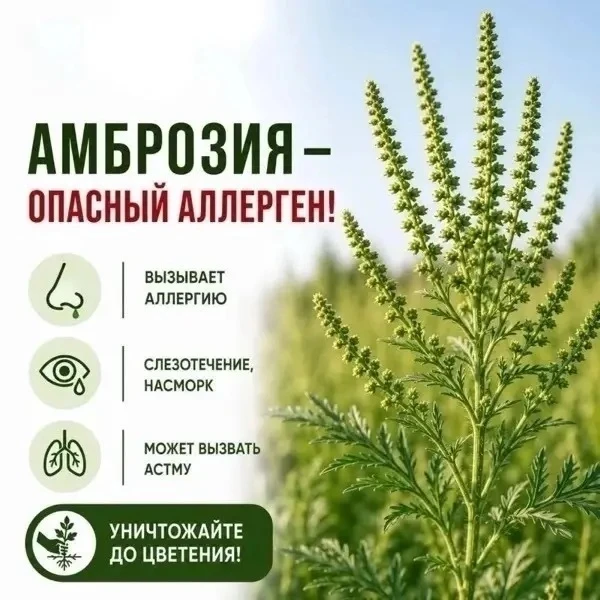 Администрация муниципального образования «Еленовское  сельское поселение» информирует н...
