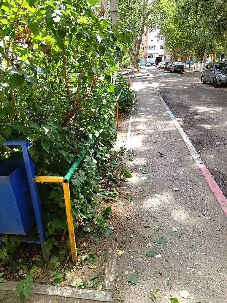 К новости «✂️ «Зеленый парикмахер» 🌳»