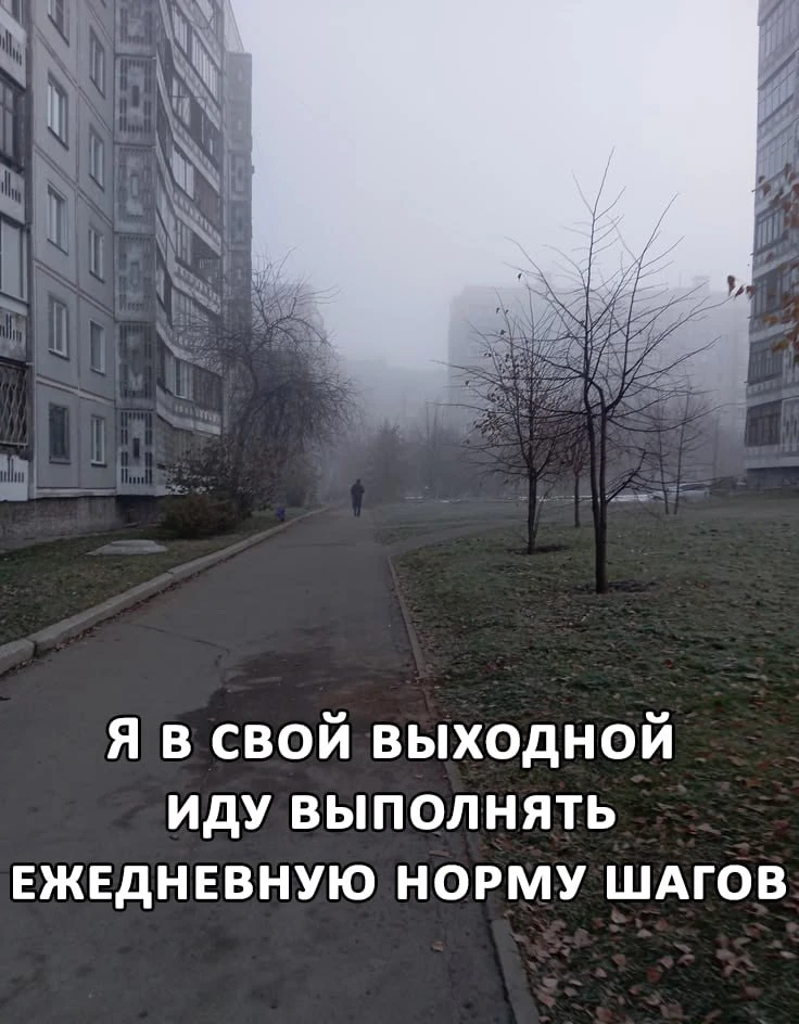 👟 Кто придумал эти 10 000 шагов?