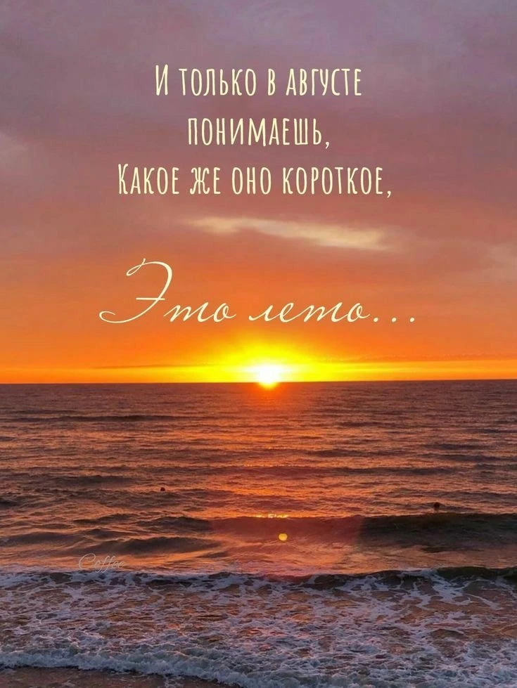 Всем доброго денёчка! ☀️