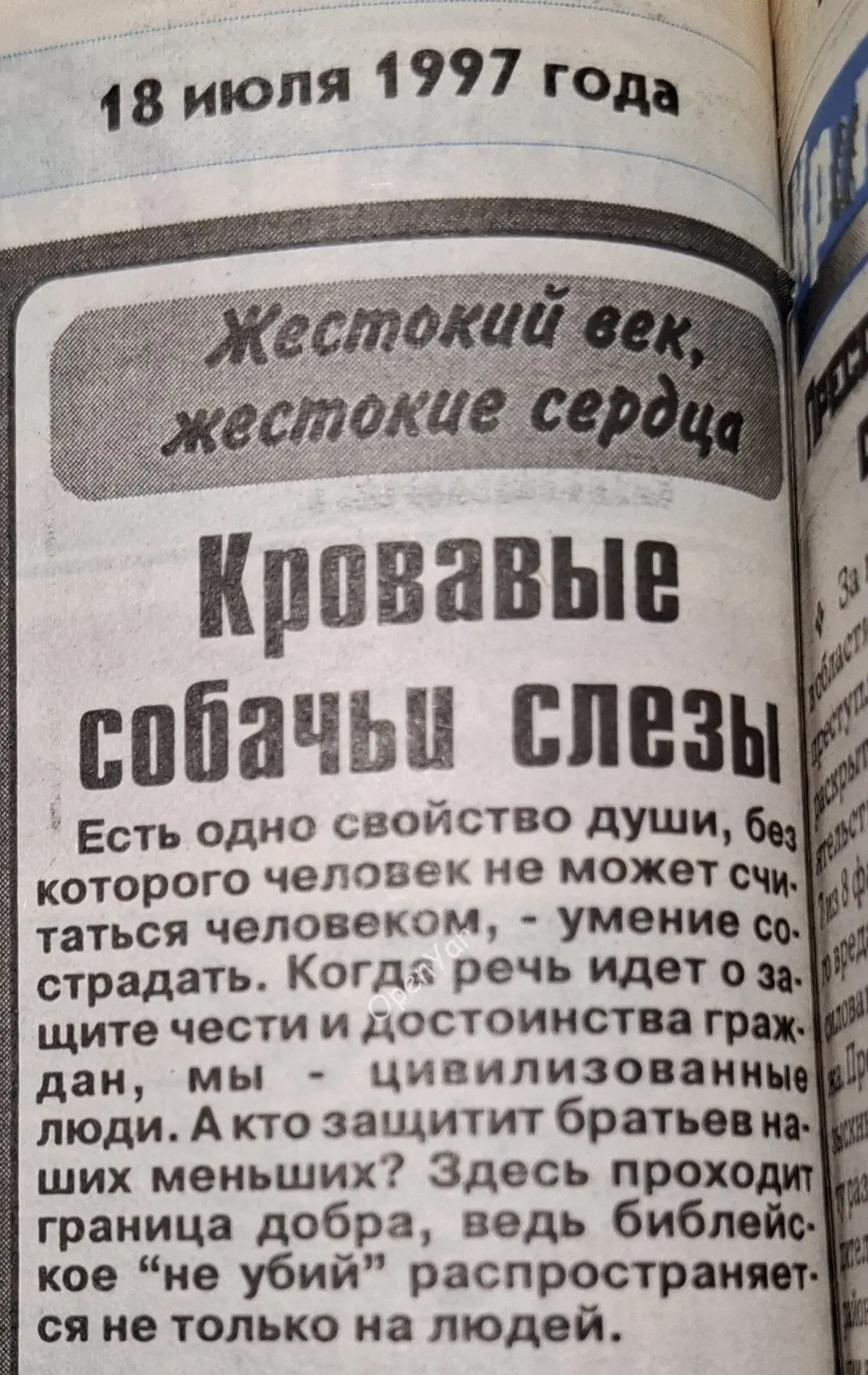 Пьяный юный брагинец в компании друзей привязал собаку к дереву и насмерть забил лопатой.