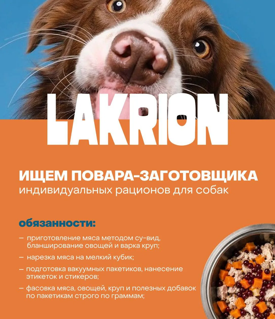 Команда проекта Lakrion ищет: