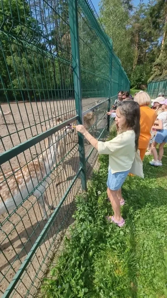 🌟🦒 УДИВИТЕЛЬНОЕ ПРИКЛЮЧЕНИЕ 3 «А»: ЭКСКУРСИЯ В ЗООПАРК! 🦜✨  В преддверии летних каникул ученики 3 «А