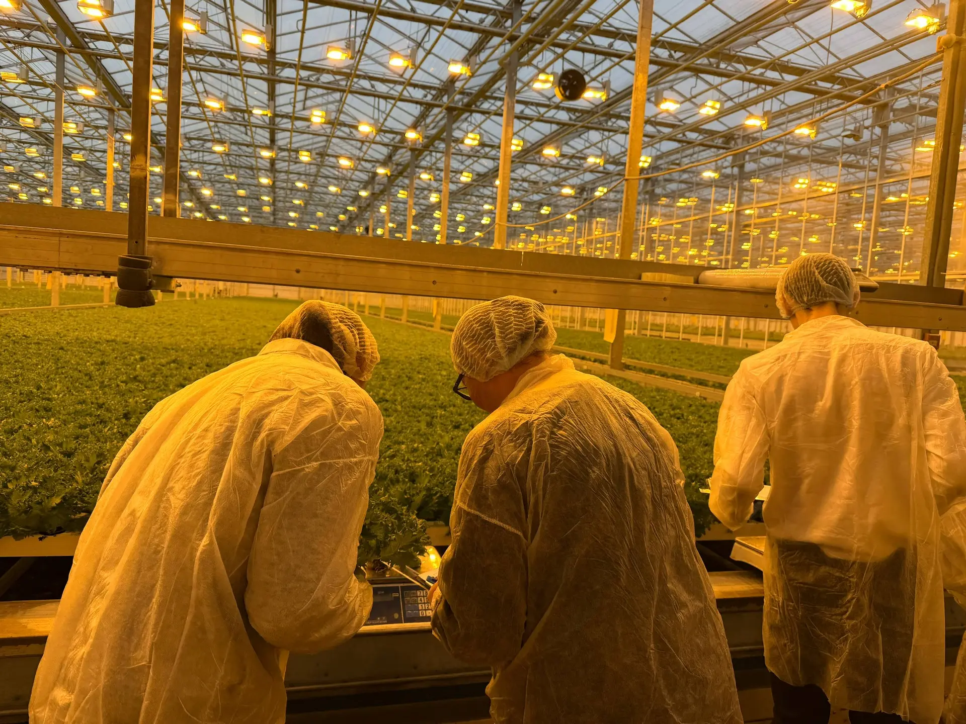 🌱 В рамках сетевого взаимодействия с предприятием «Выборжец» обучающиеся 10.3 агротехнологического к