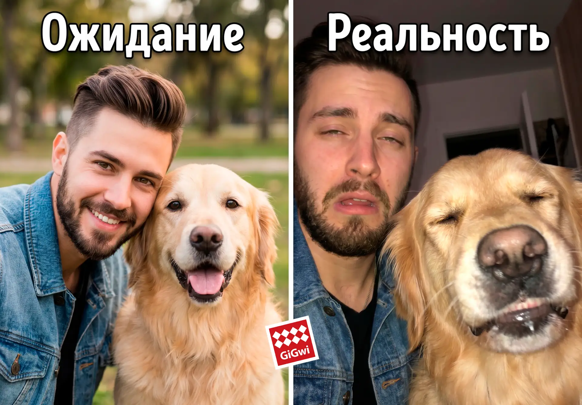 "Когда решил сделать красивое фото со своей собакой"😁