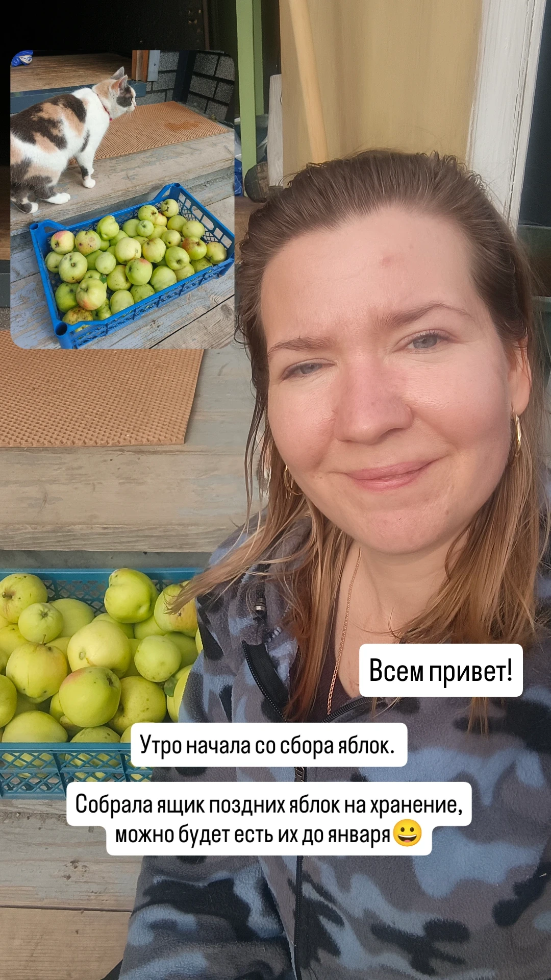 Всем привет!