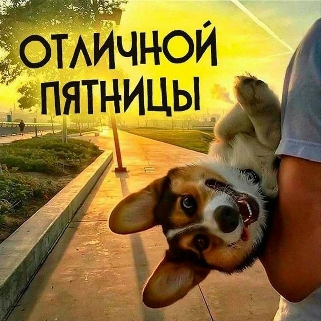 🔥 Пятница, 11 сентября: неделя официально побеждена.