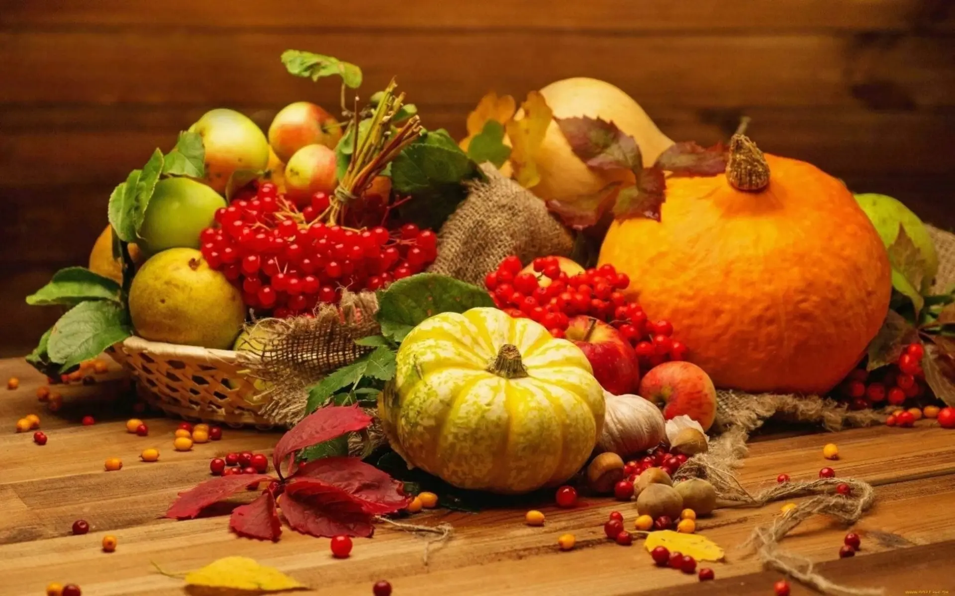 🍂🐾 ВНИМАНИЕ! БЛАГОТВОРИТЕЛЬНАЯ АКЦИЯ «ДАРЫ ОСЕНИ»! 🐾🍂