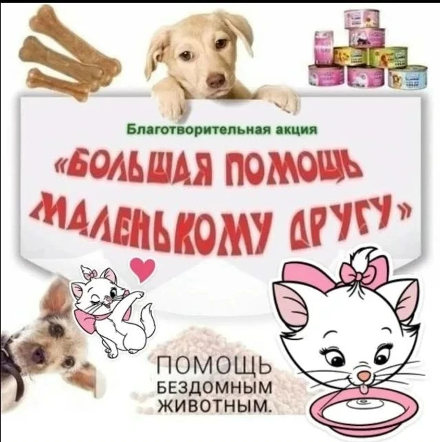 🐶🐱 Поможем тем, кто нуждается в заботе! 🐾
