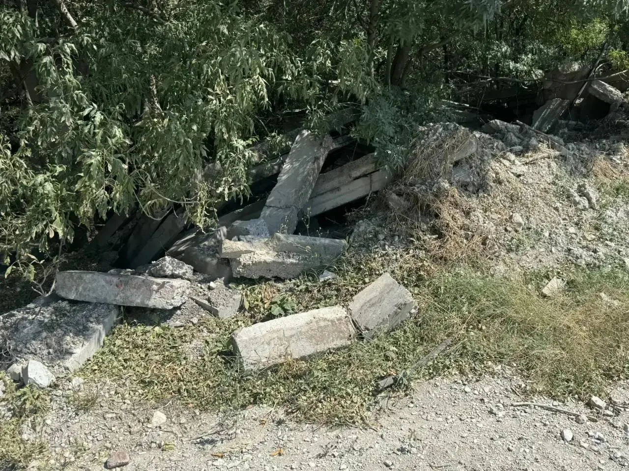 Жители Новороссийска пожаловались на свалку в Цемесской роще