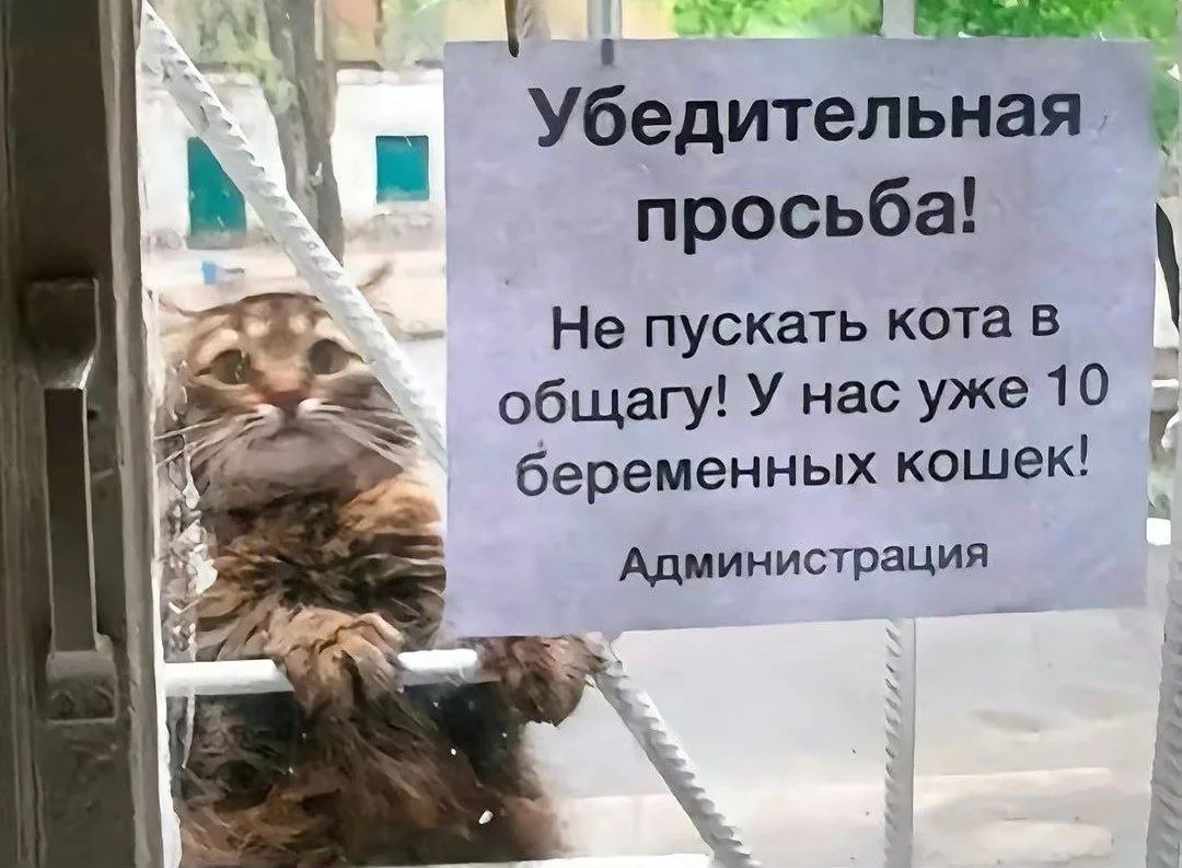 Улыбнись | Юмор