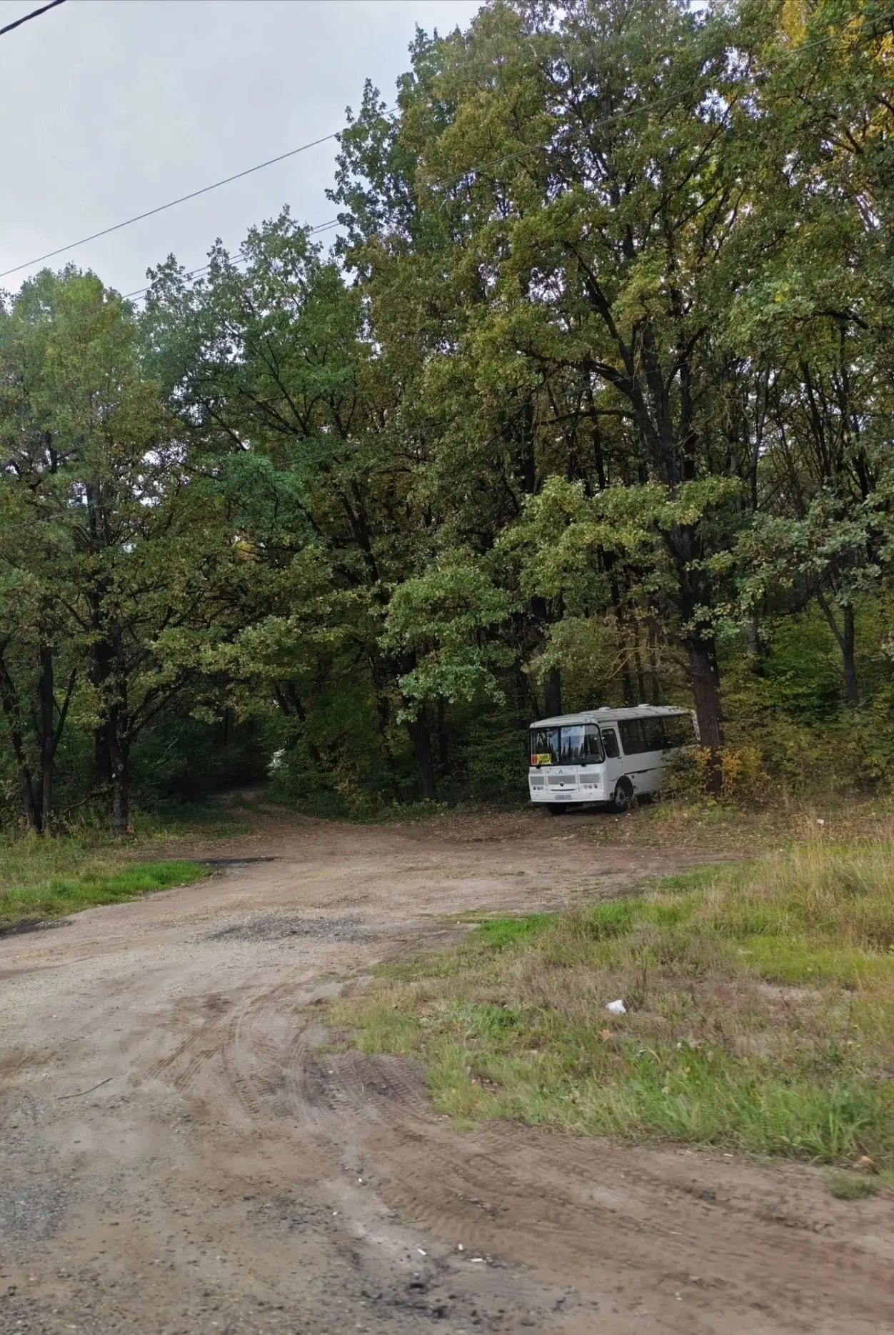 🚌 ОРЛОВЧАНЕ ЖАЛУЮТСЯ НА РАБОТУ МАРШРУТА №421